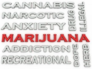Marijuana is not good for your teenager. Credit: david castillo dominici via freedigitalphotos.net